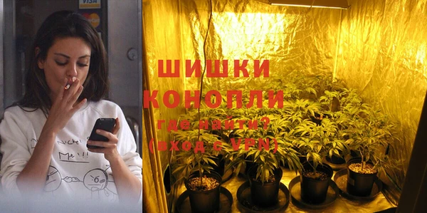 гашик Волосово