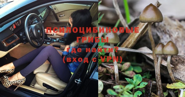 PSILOCYBIN Волоколамск