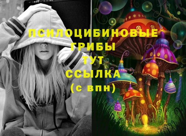 PSILOCYBIN Волоколамск