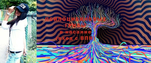 гашик Волосово