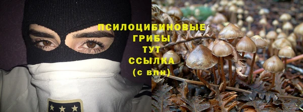 Альфа ПВП Володарск